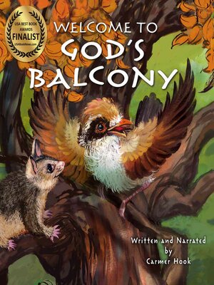 cover image of Welcome to God's Balcony